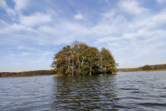 IMG20221027122715