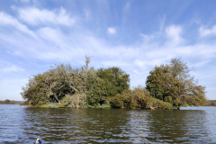 IMG20221027123313