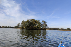IMG20221027125206