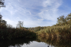 IMG20221027125740