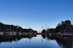 IMG_20220902_074433