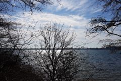 IMG-20200325-WA0005