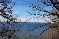 IMG-20200325-WA0007