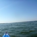 hro1.de-Insel-Ruden-877