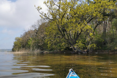 IMG-20220506-WA0002