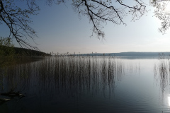 IMG_20220506_072952