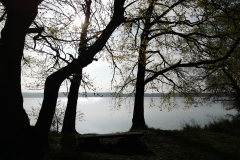 IMG_20220506_080403