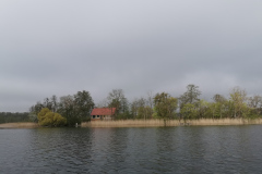 IMG_20220506_085058