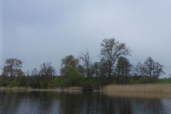 P1010163