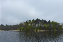 P1010168