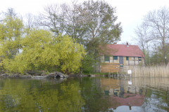 P1010176