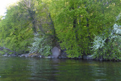 P1010203