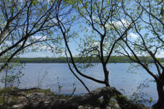 P1010249
