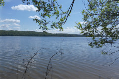 P1010251