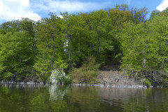 P1010259