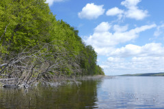 P1010260