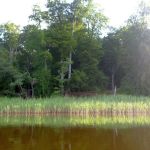 Userin-Kratzeburg-019