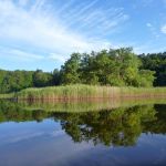 Userin-Kratzeburg-024