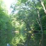 Userin-Kratzeburg-032