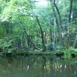 Userin-Kratzeburg-033