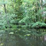 Userin-Kratzeburg-036