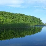 Userin-Kratzeburg-038