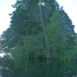 Userin-Kratzeburg-100