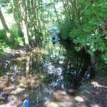 Userin-Kratzeburg-119