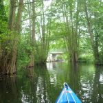 Userin-Kratzeburg-164