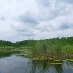 Userin-Kratzeburg-165