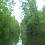 Userin-Kratzeburg-194