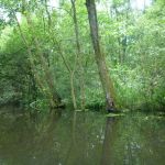 Userin-Kratzeburg-195