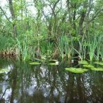 Userin-Kratzeburg-198