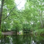 Userin-Kratzeburg-205