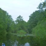 Userin-Kratzeburg-215