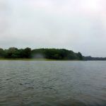 Userin-Kratzeburg-238