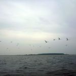 hro1.de-Insel-Hiddensee-912