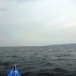 hro1.de-Insel-Hiddensee-914