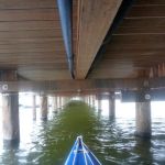 hro1.de-Insel-Hiddensee-930