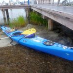hro1.de-Insel-Hiddensee-933