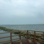 hro1.de-Insel-Hiddensee-937