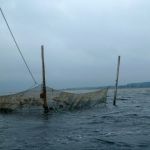 hro1.de-Insel-Hiddensee-948