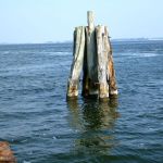 hro1.de-Insel-Hiddensee-972
