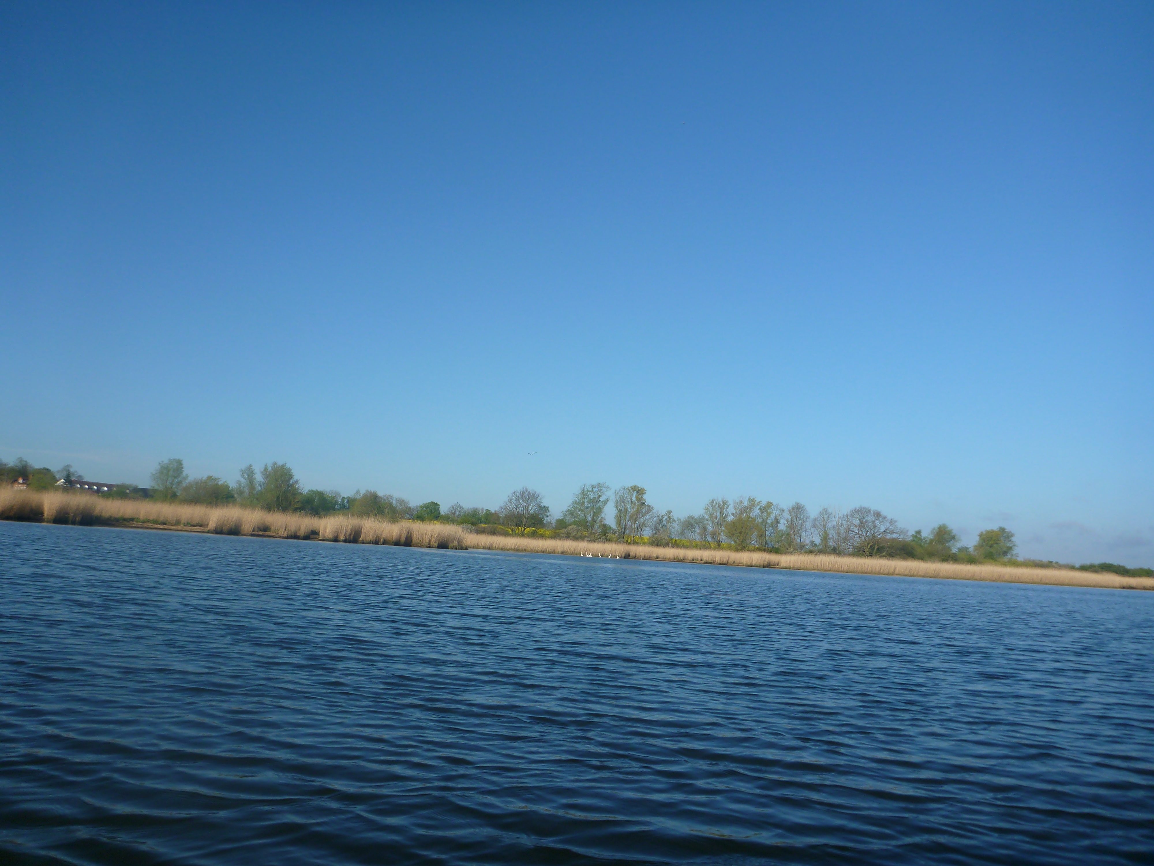 Verbotene-Dassower-See-008