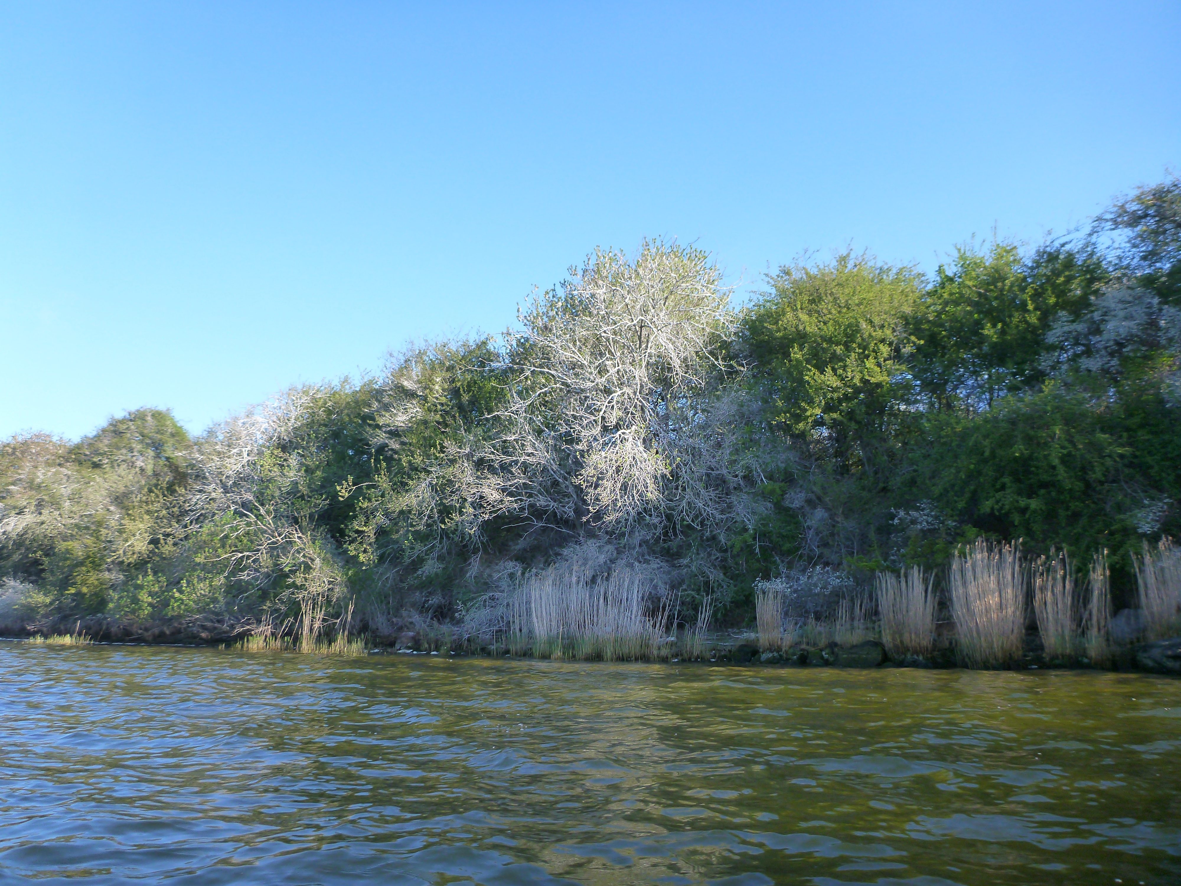 Verbotene-Dassower-See-034