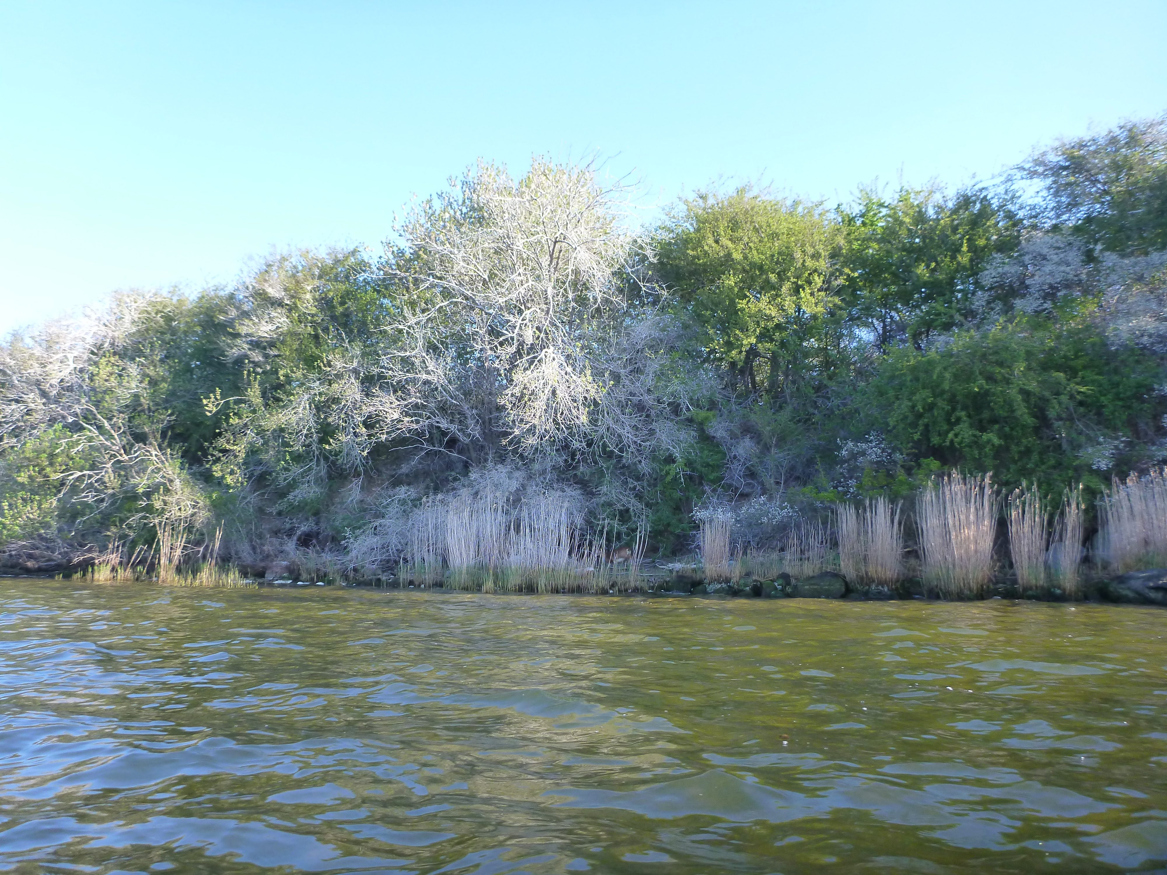 Verbotene-Dassower-See-035