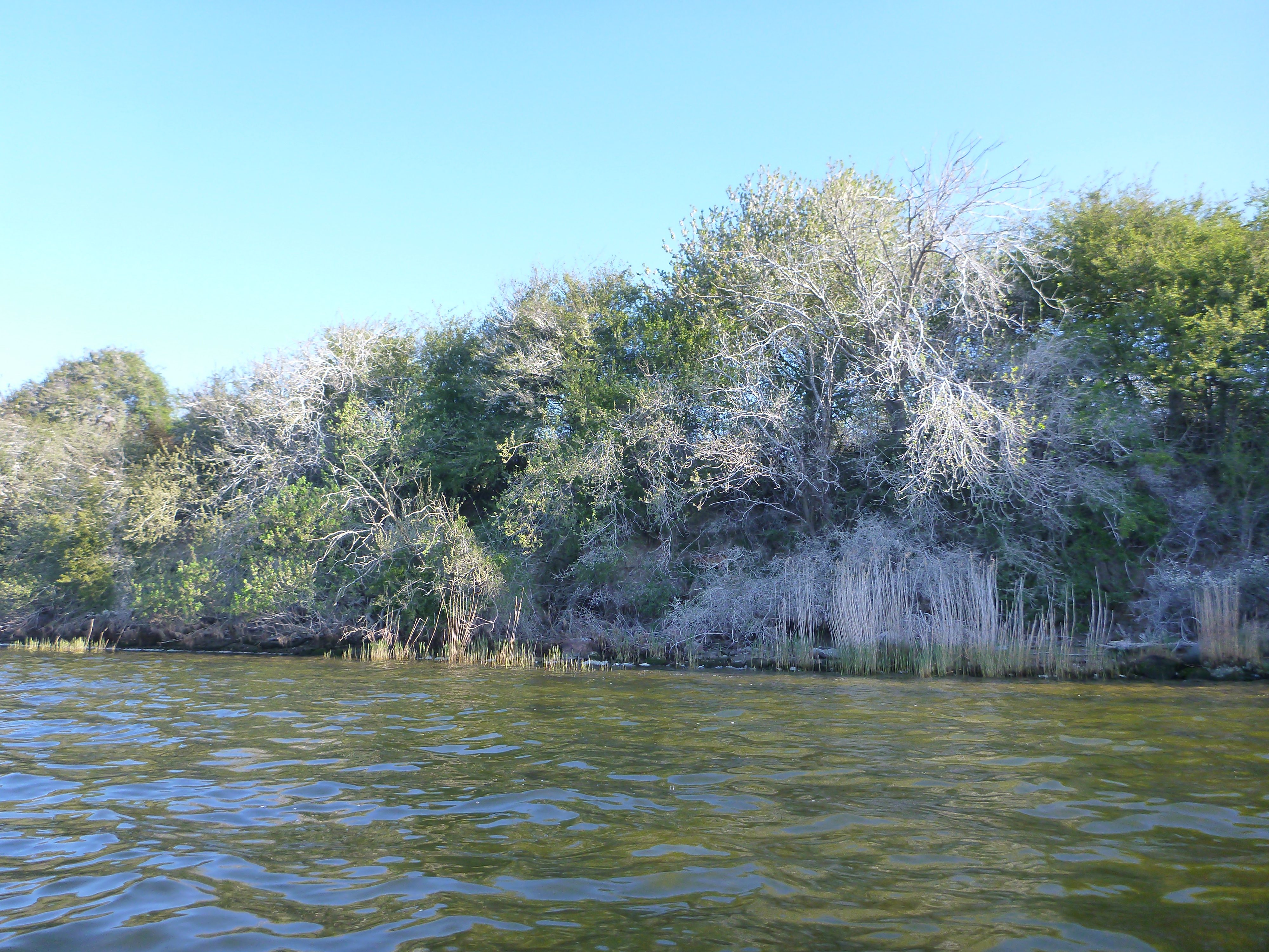 Verbotene-Dassower-See-037