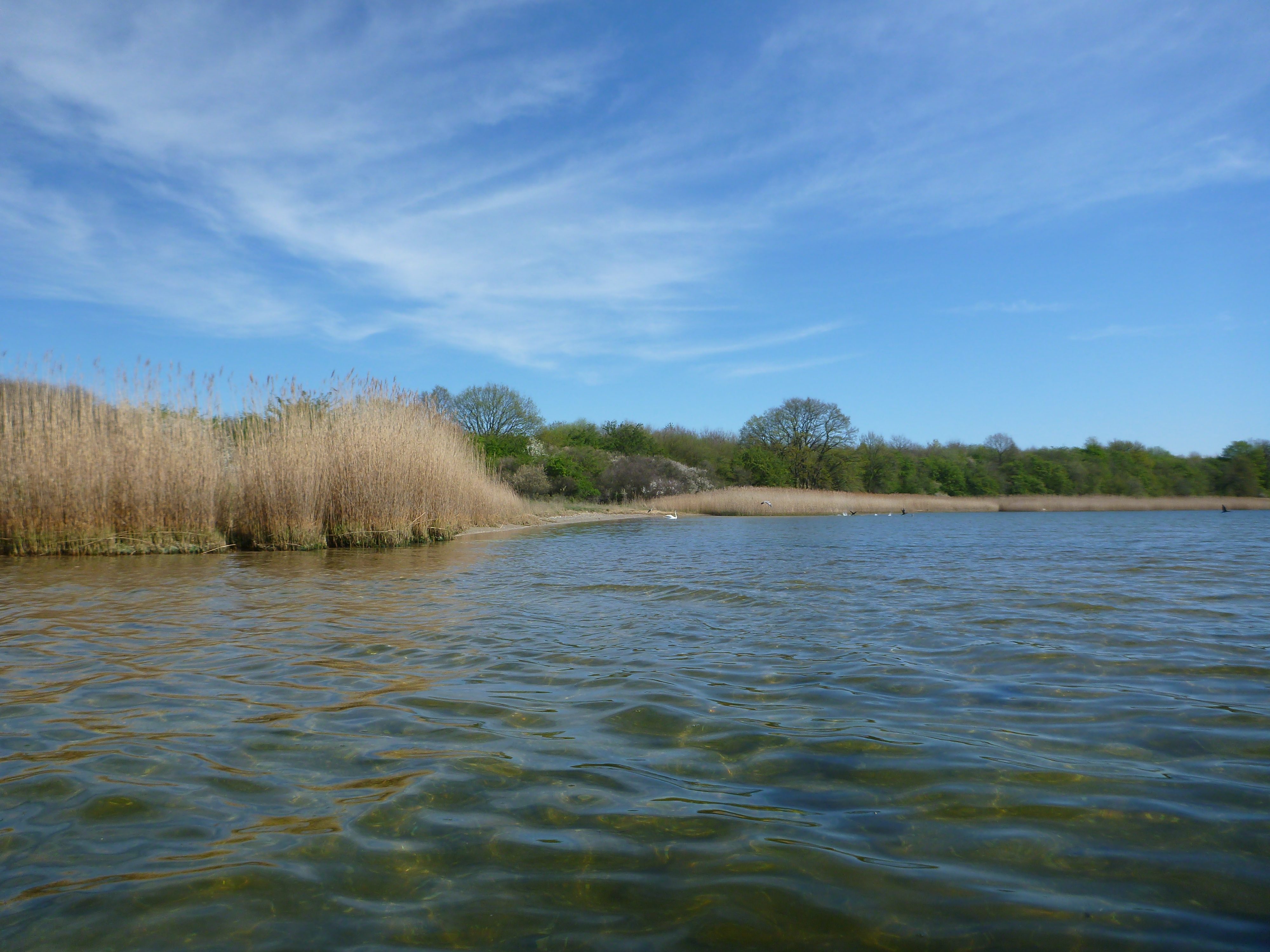 Verbotene-Dassower-See-101