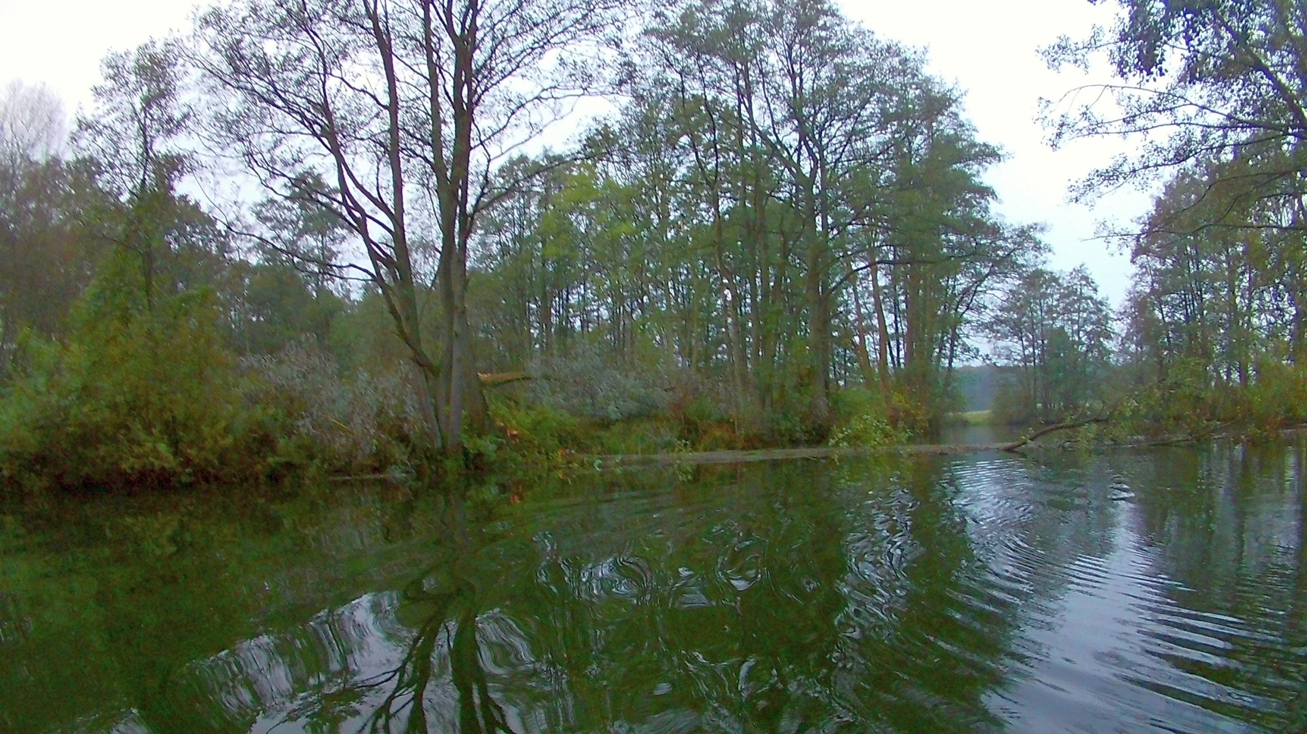 Wakenitz-Grenzfahrt-004
