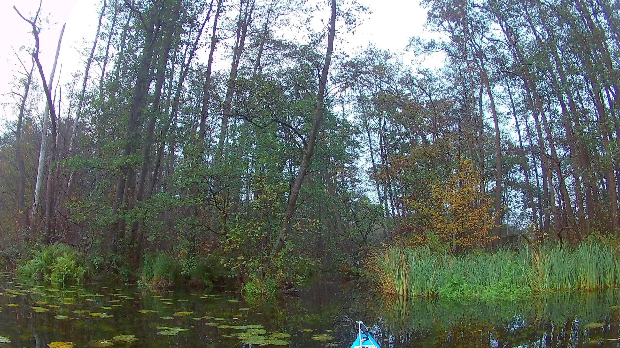 Wakenitz-Grenzfahrt-019